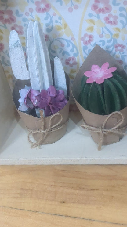 Cactus shadow box double sided unique one of a kind sb8