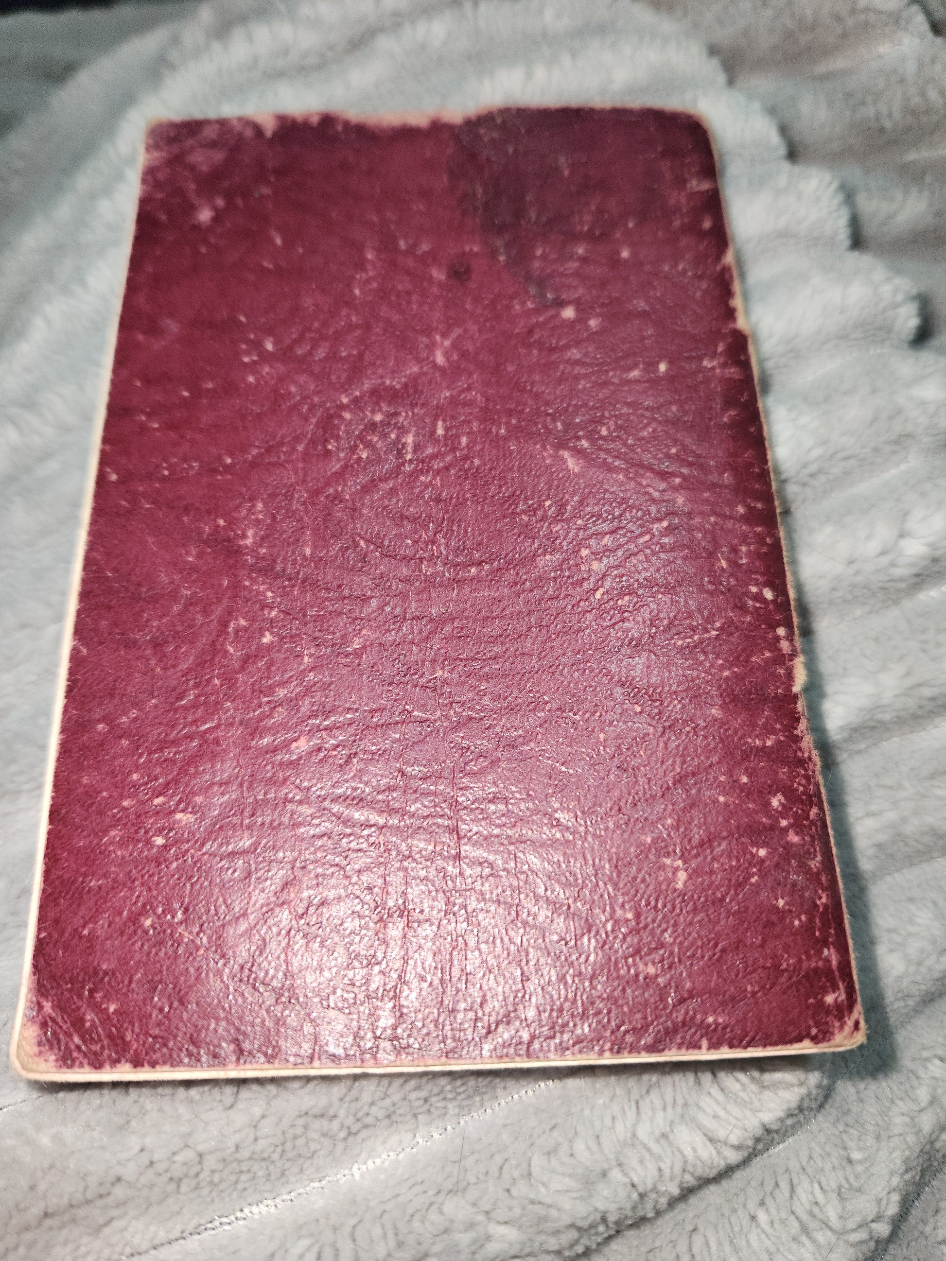 Vintage Softcover Booklet The Greatest Prayer the Mass Bruce Publishing 1934 AS IS ab99