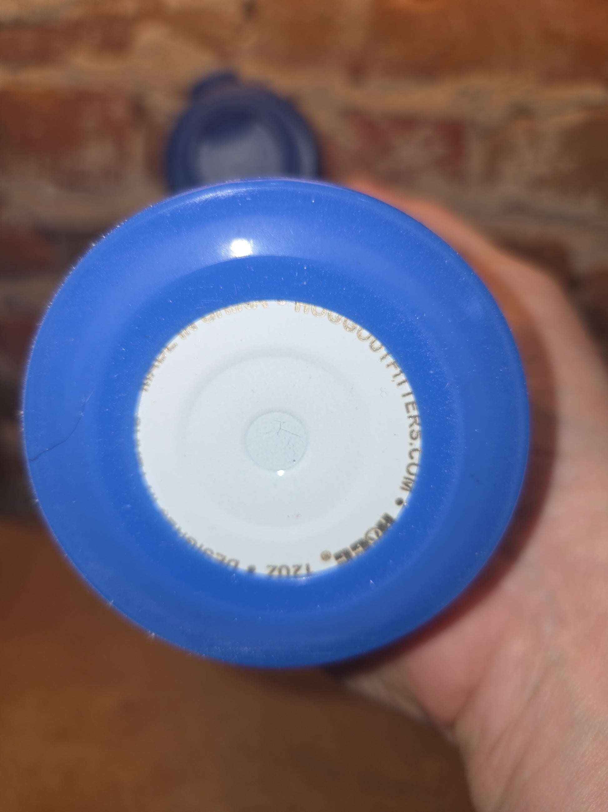 Custom Order Kid's 12 oz Tumbler Sippy Cup with Blue Flip Top Lid