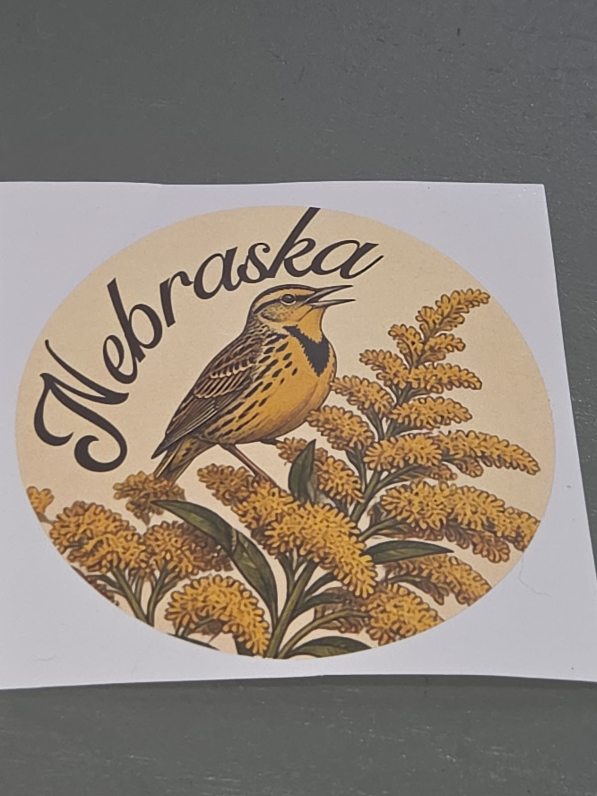 Nebraska Stickers 3" Goldenrod Meadowlark