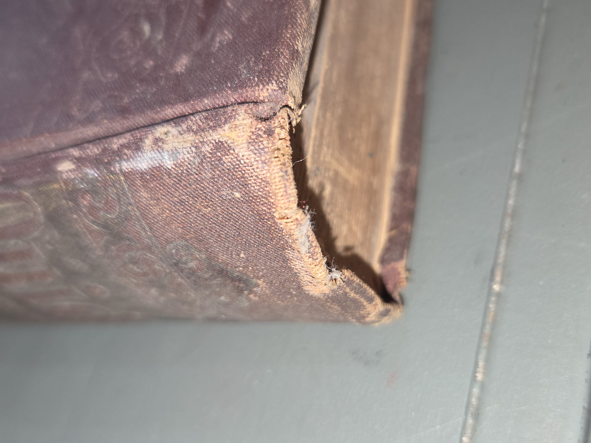 Anyique Hardcover Book Ouida Illustrated, Volume 6: Tricotrin. In a winter city. Little Grand and the marchioness. Our country quarters. Trente-et-un. Ab10