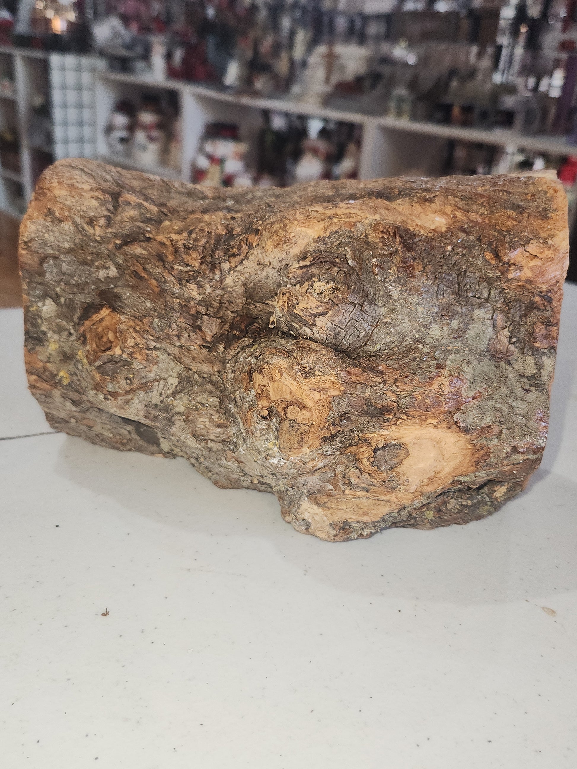 Nativity Medium Grotto Carved in Olive Wood Branch Made in Bethlehem 4" x 8" n2a