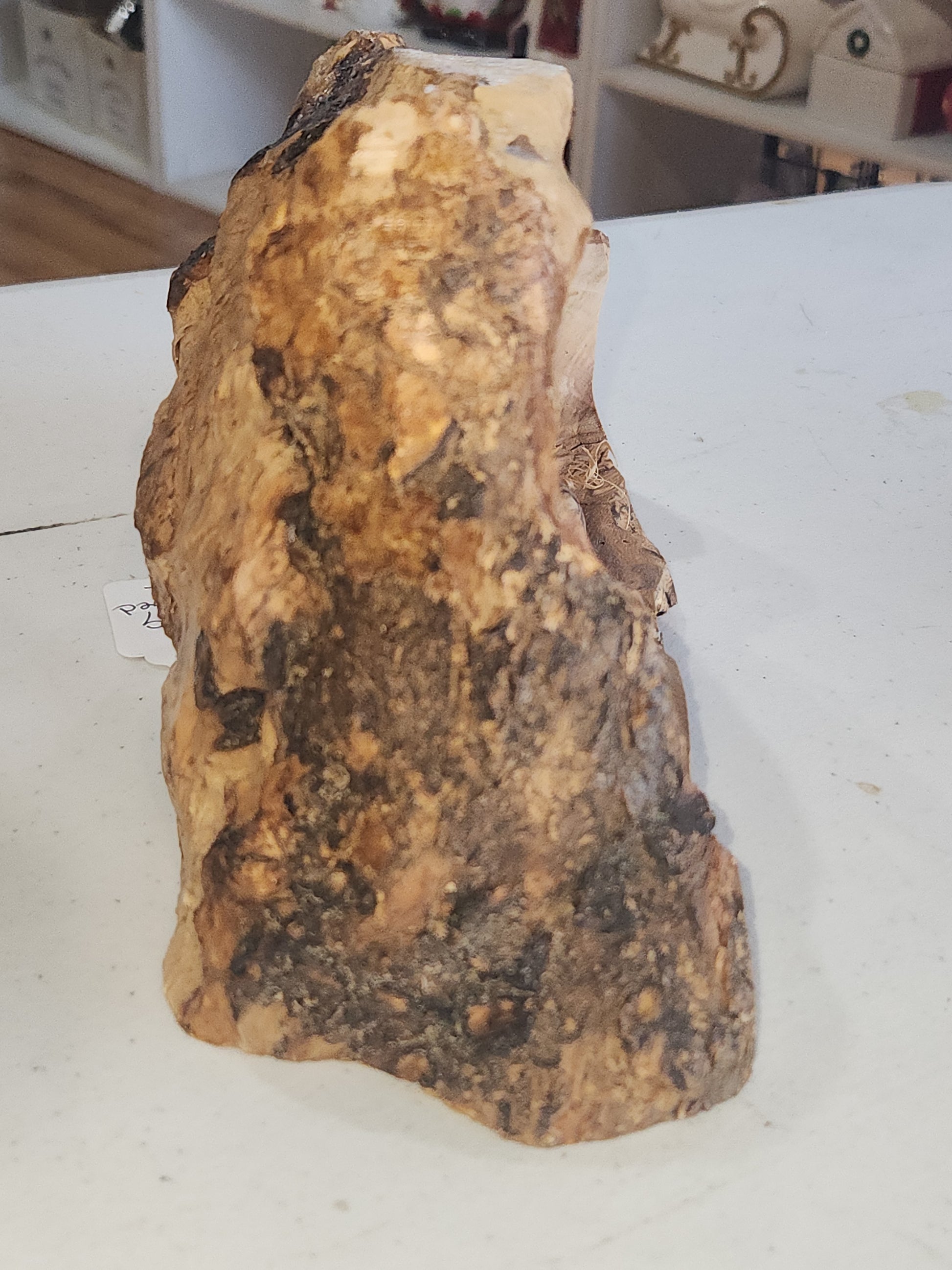 Large Grotto nativity made from Roots of the olive wood tree. Made in Bethlehem. N1