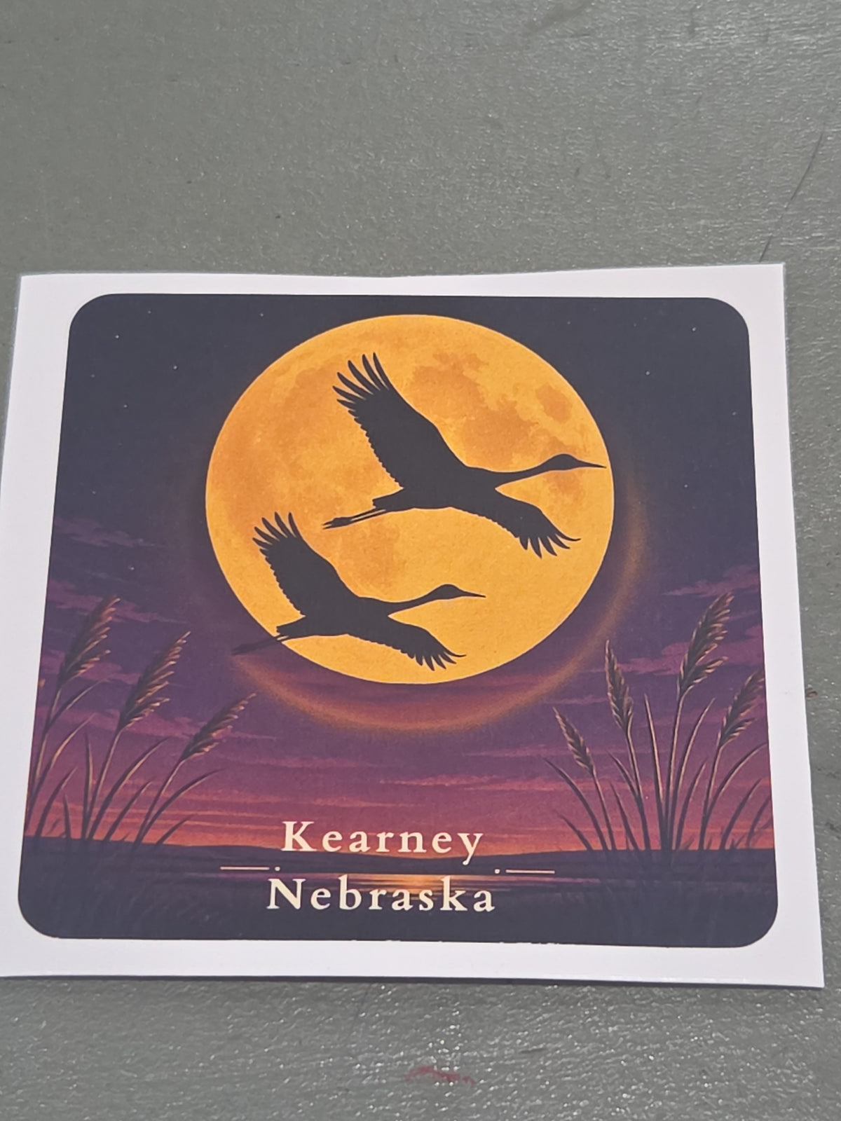 Nebraska Stickers 3" Kearney Nebraska Sandhill Cranes
