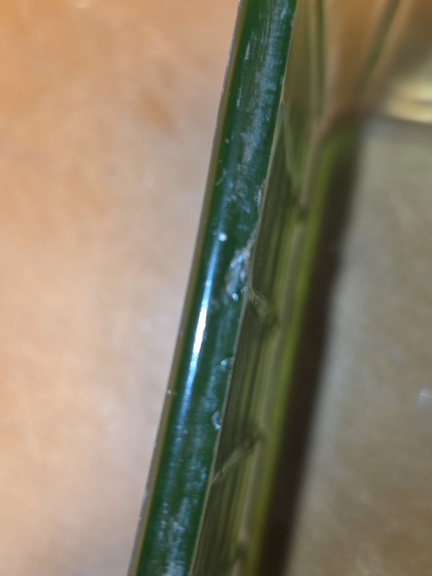 Vintage Uraniun Depression Glass Green Refrigerator Dish AS IS no lid flea bites ug86