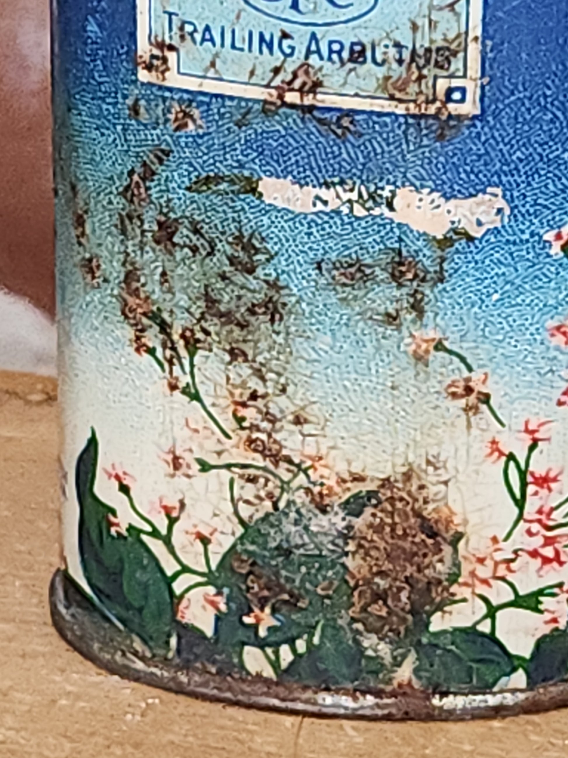 Vintage California Purgume Company Trailing Arbutus Talcum Powder Sample Jack and Jill Jungle Jinks set 1920-30s AS IS tin012
