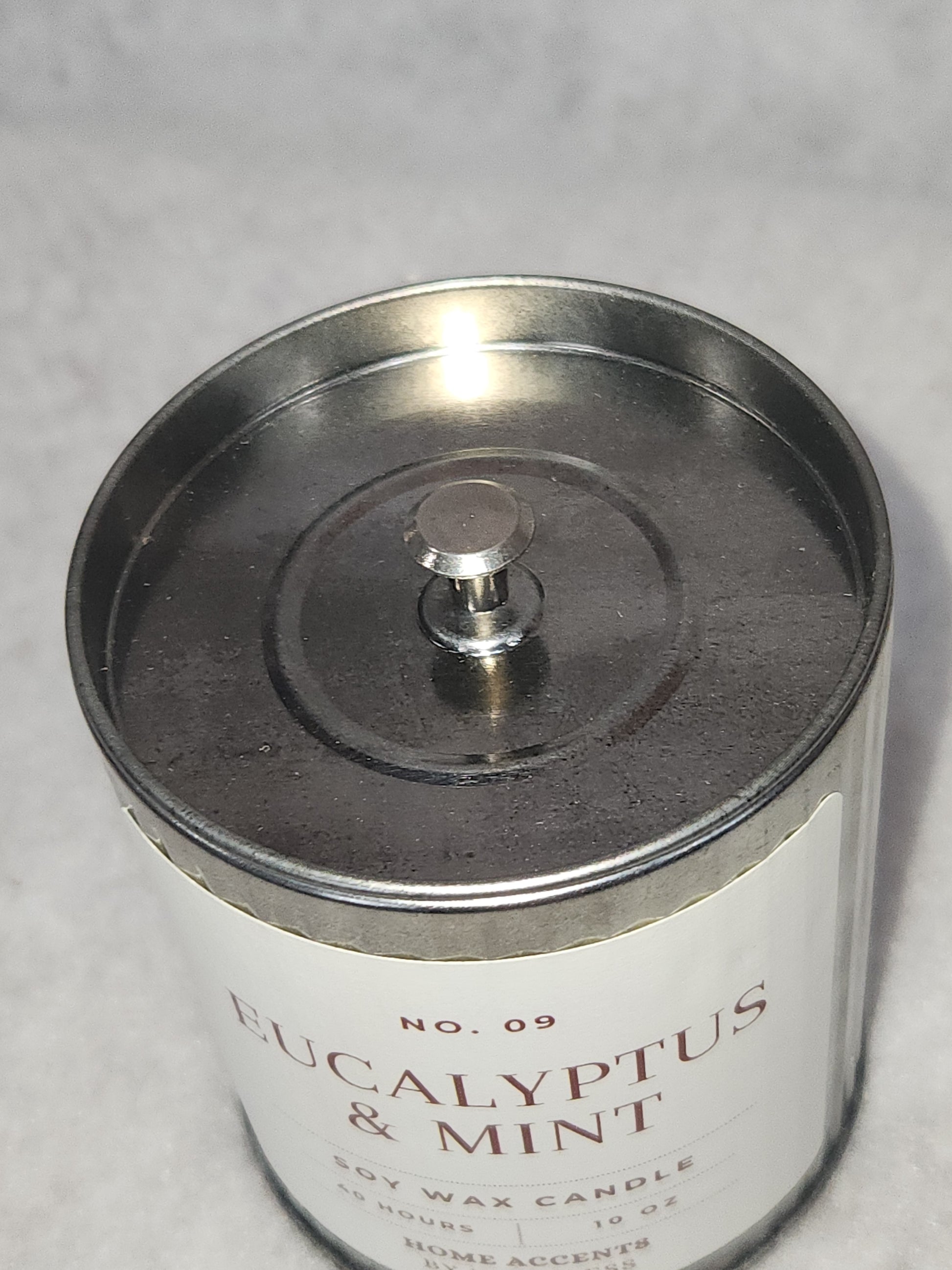 Home Accents Soy Wax Candle 10 oz Eucalyptus & Mint emc