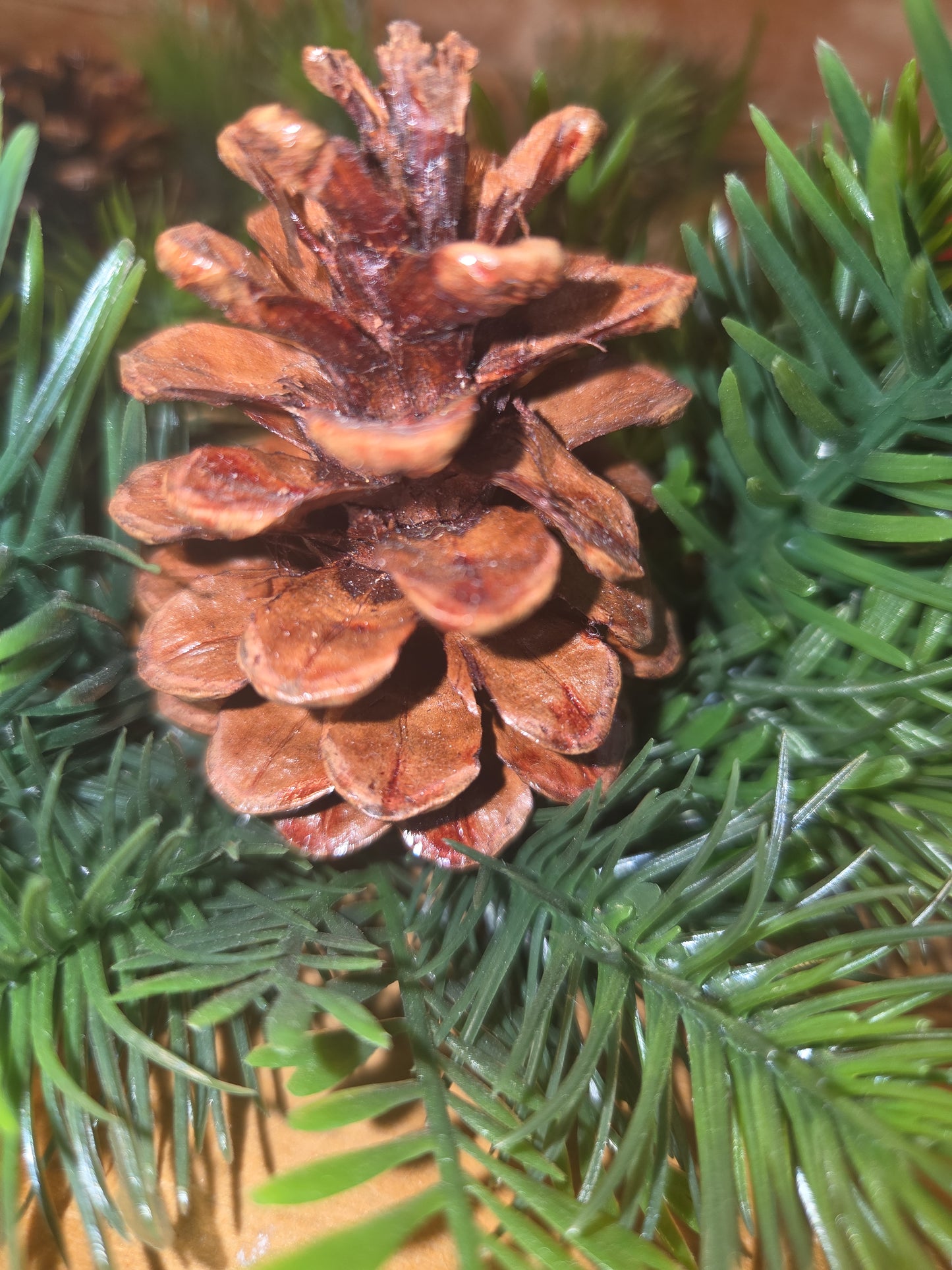 Vintage Christmas Candle Ring Centerpiece Plastic Greenery Pinecone Pear Berry Evergreen cr3