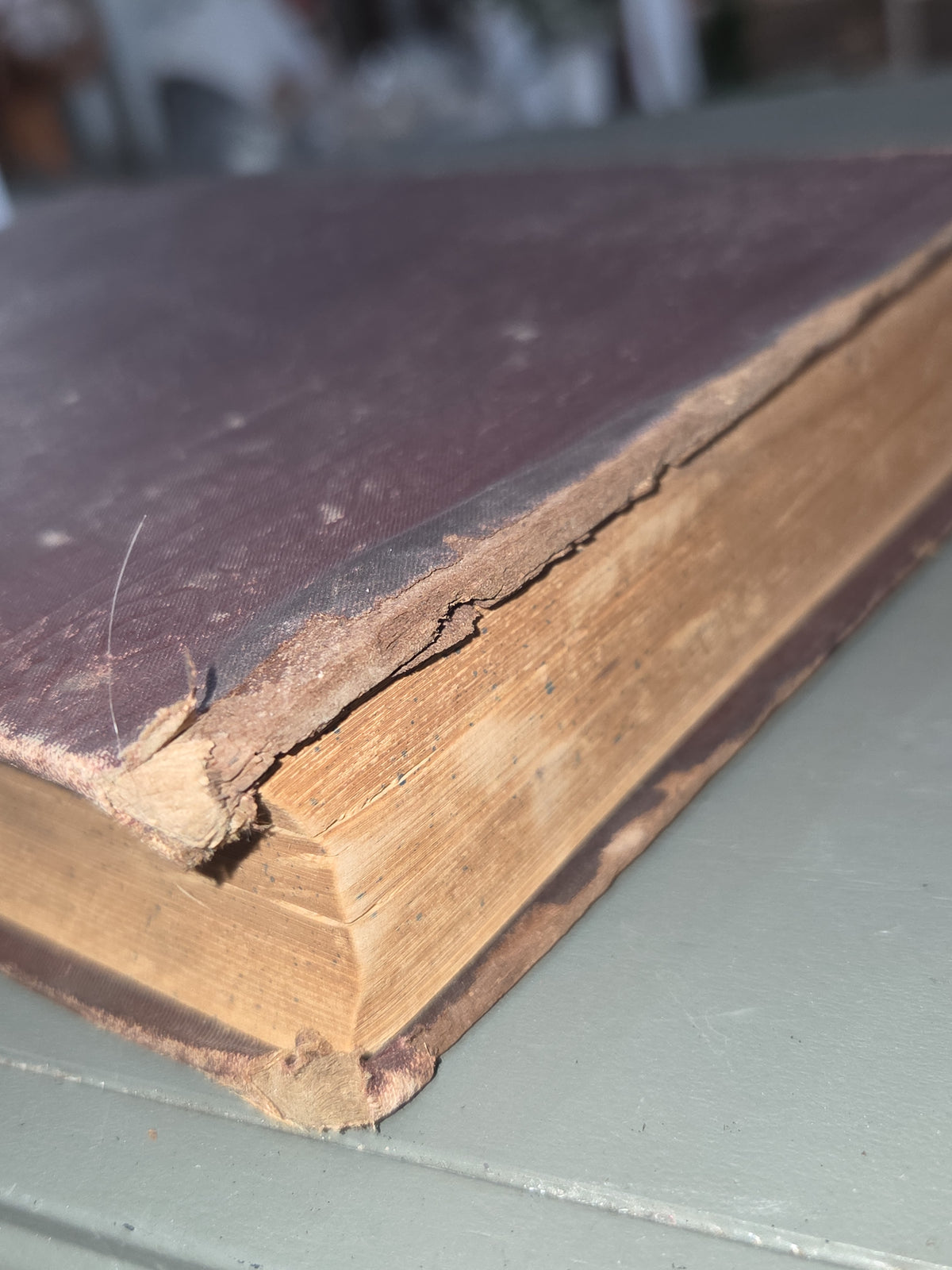 Anyique Hardcover Book Ouida Illustrated, Volume 6: Tricotrin. In a winter city. Little Grand and the marchioness. Our country quarters. Trente-et-un. Ab10