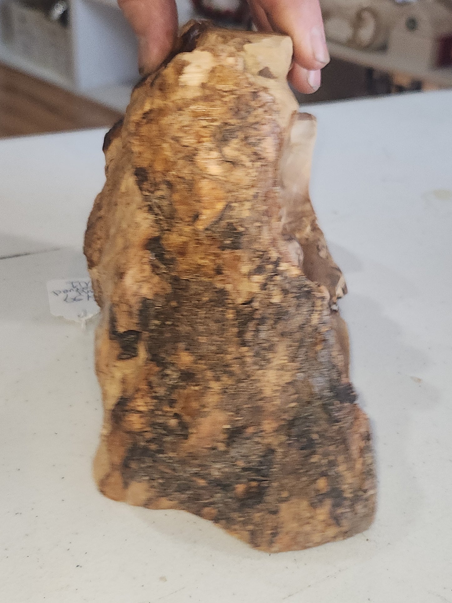 Large Grotto nativity made from Roots of the olive wood tree. Made in Bethlehem. N1