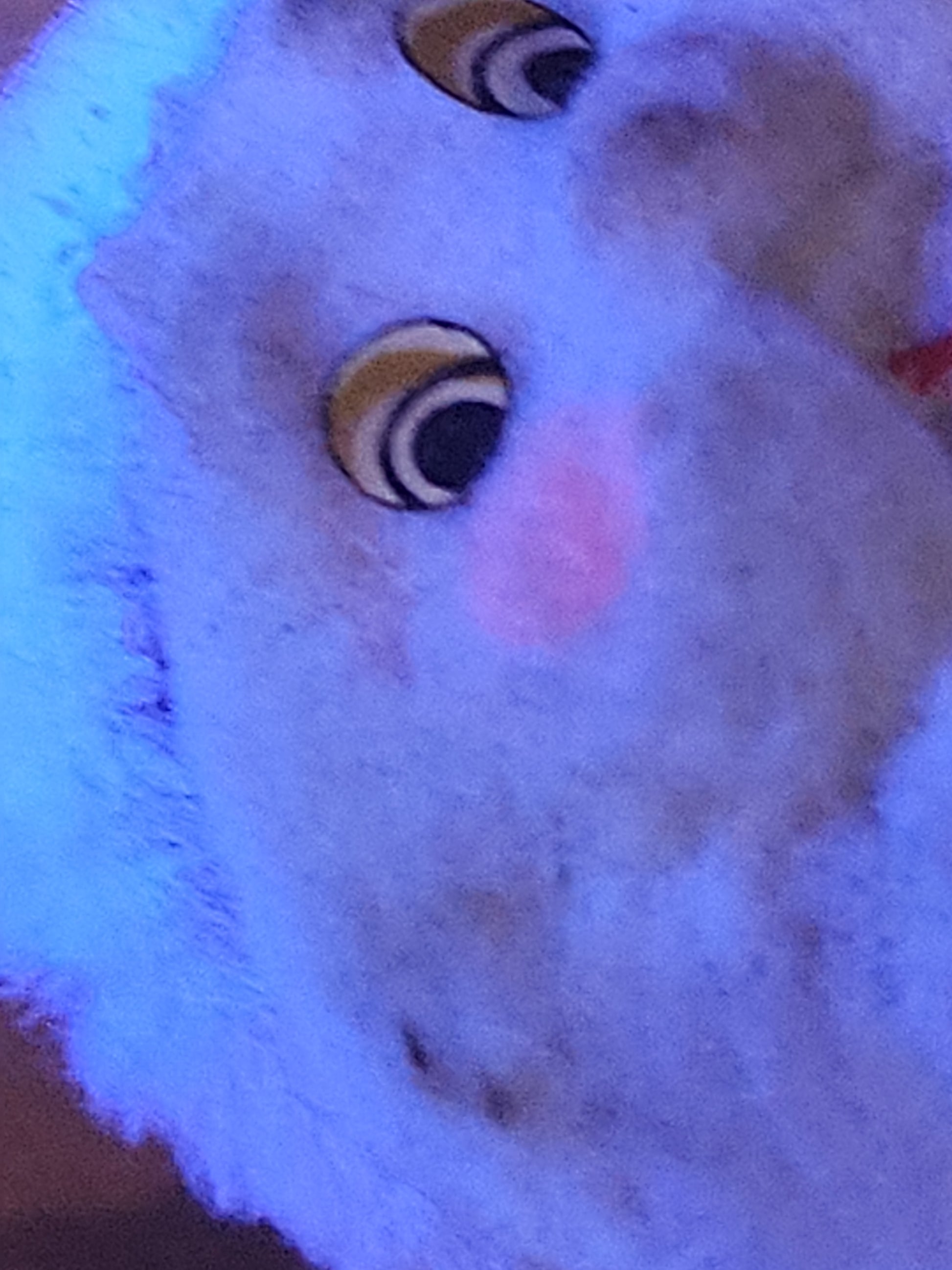 Vintage Flocked Santa CHEEKS GLOW under UV Once on a Pick for Foral Arrangement sf30