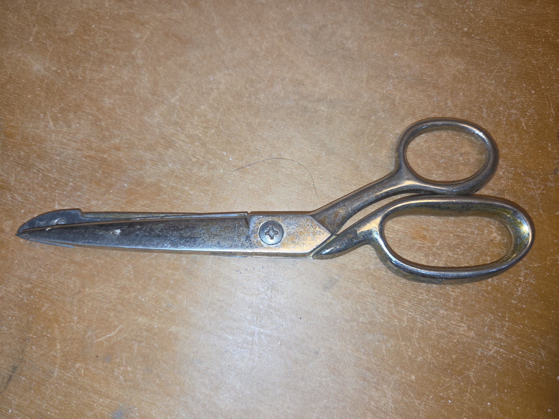 Vintage Richards of Sheffield England Radiant Golden Age Rustless Sewing Scissors Made in England sc9