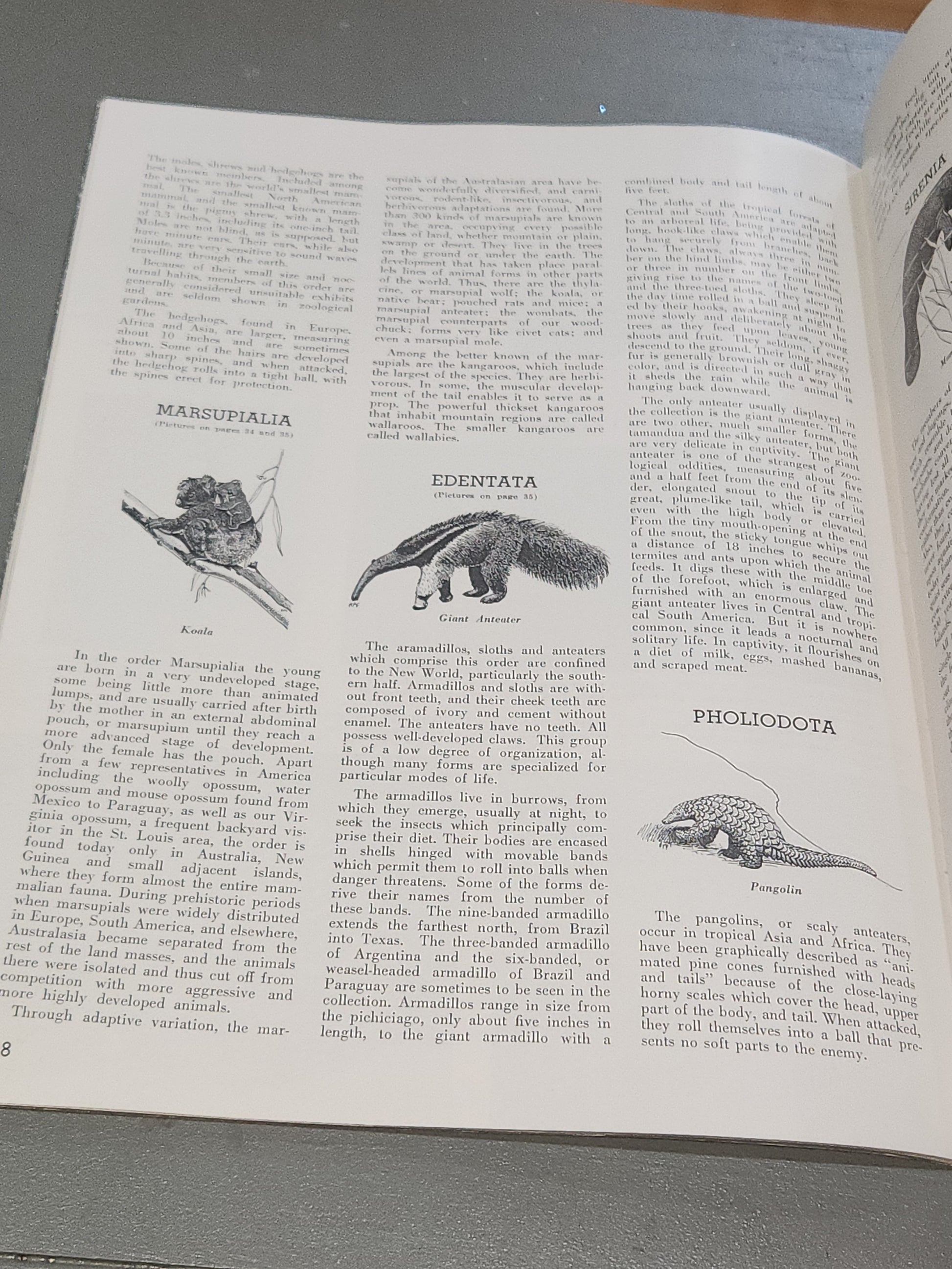 Vintage St. Louis Zoo Album Souvenir Animal Photos and Information, Map 1950 bk98