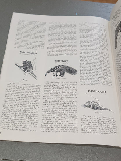 Vintage St. Louis Zoo Album Souvenir Animal Photos and Information, Map 1950 bk98