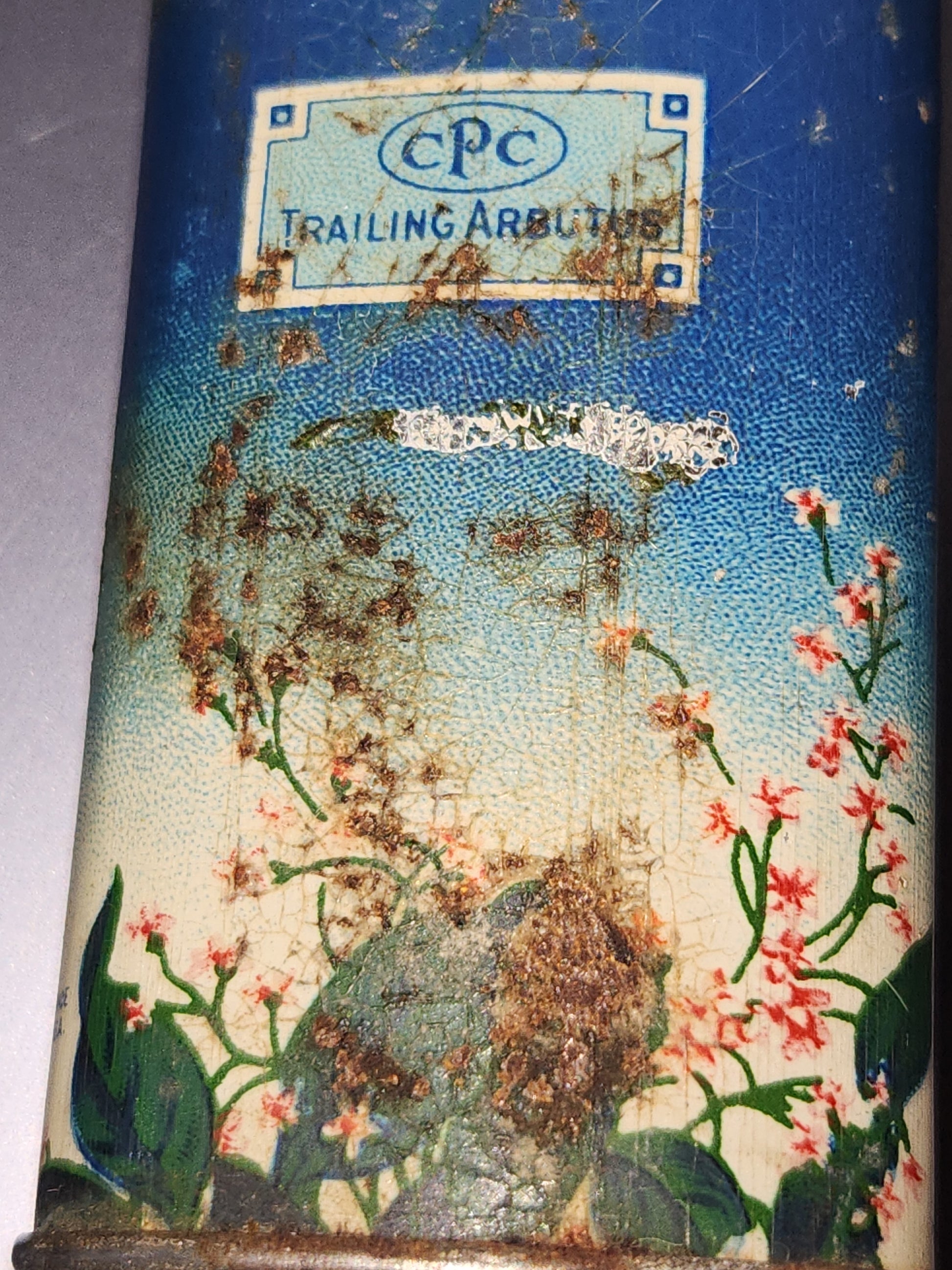 Vintage California Purgume Company Trailing Arbutus Talcum Powder Sample Jack and Jill Jungle Jinks set 1920-30s AS IS tin012