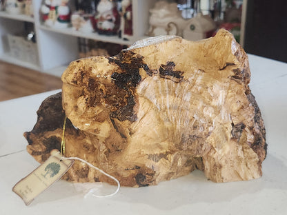 Large Grotto nativity made from Roots of the olive wood tree. Made in Bethlehem. N1