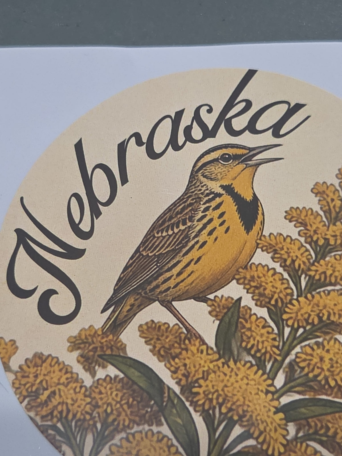 Nebraska Stickers 3" Goldenrod Meadowlark