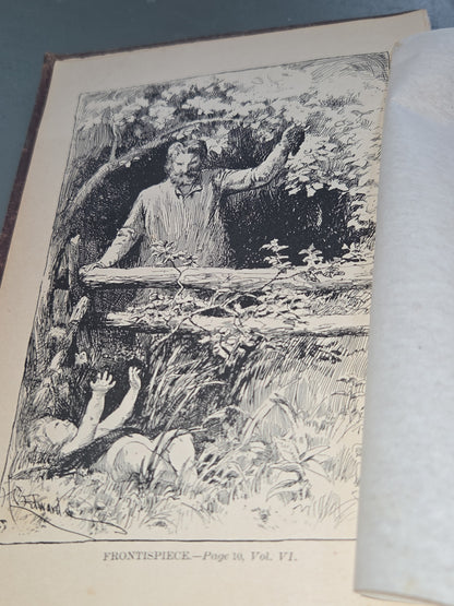 Anyique Hardcover Book Ouida Illustrated, Volume 6: Tricotrin. In a winter city. Little Grand and the marchioness. Our country quarters. Trente-et-un. Ab10