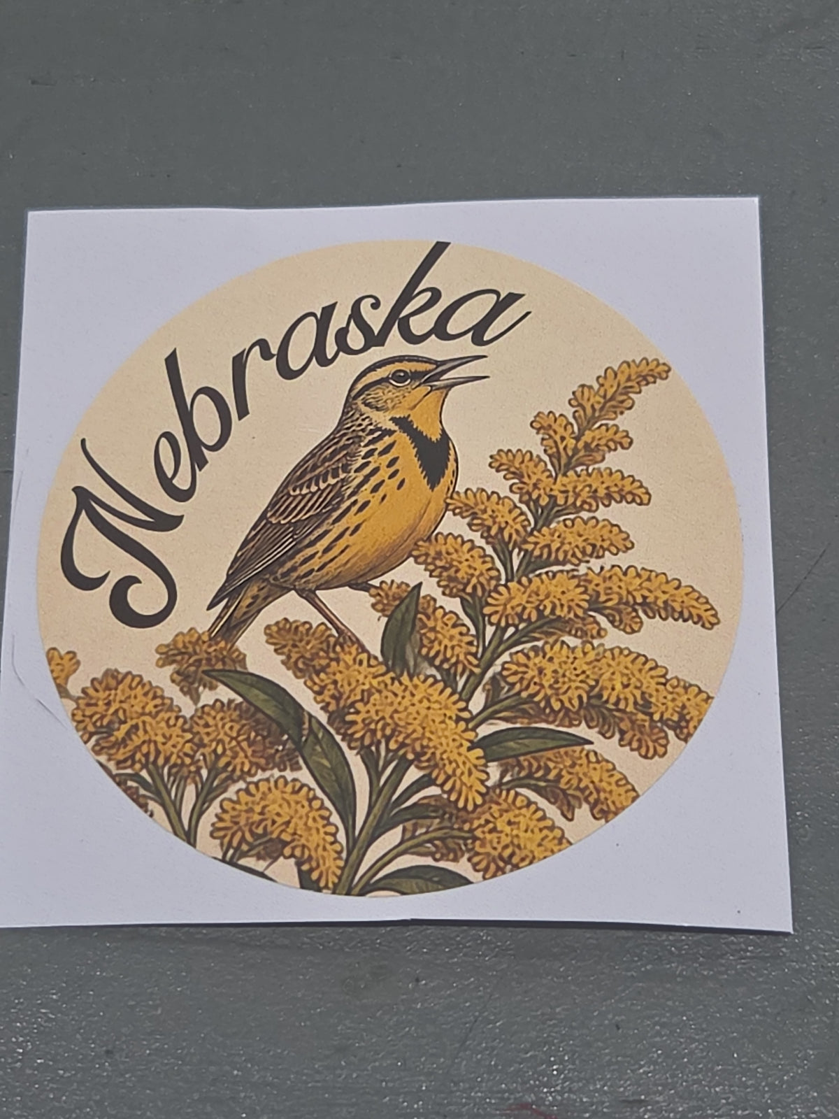 Nebraska Stickers 3" Goldenrod Meadowlark