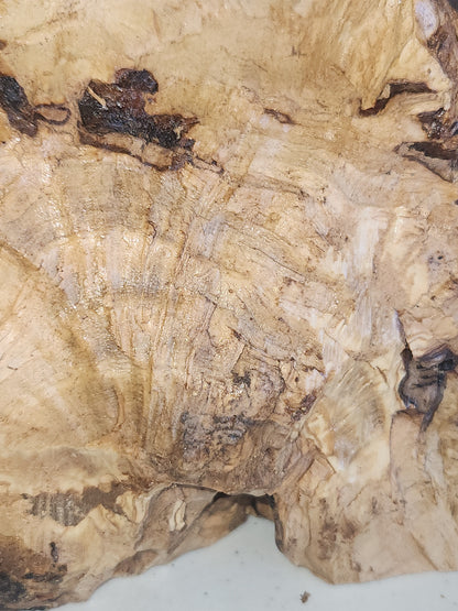Large Grotto nativity made from Roots of the olive wood tree. Made in Bethlehem. N1