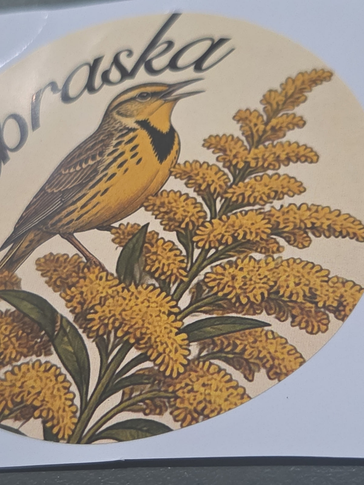 Nebraska Stickers 3" Goldenrod Meadowlark