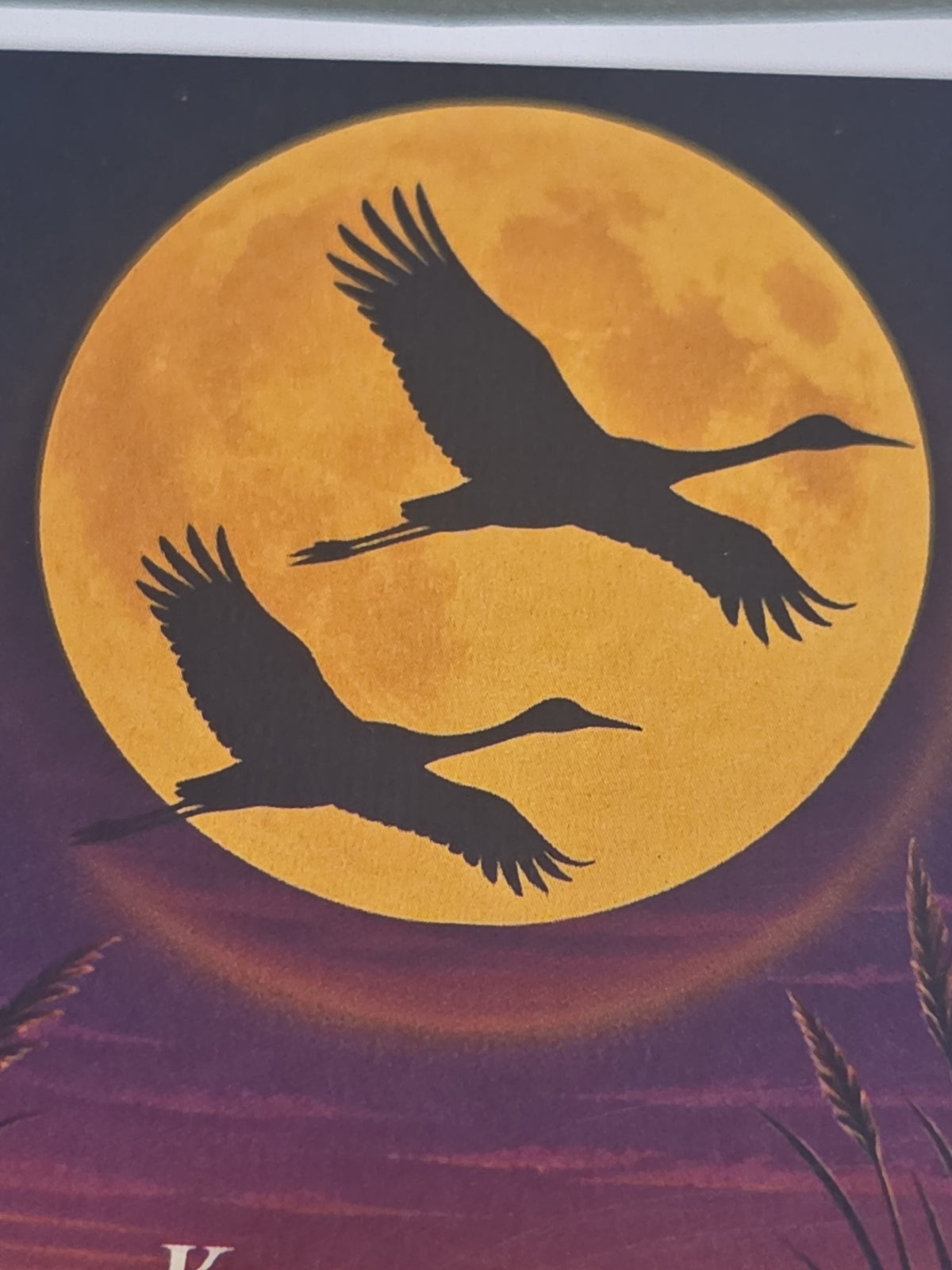 Nebraska Stickers 3" Kearney Nebraska Sandhill Cranes