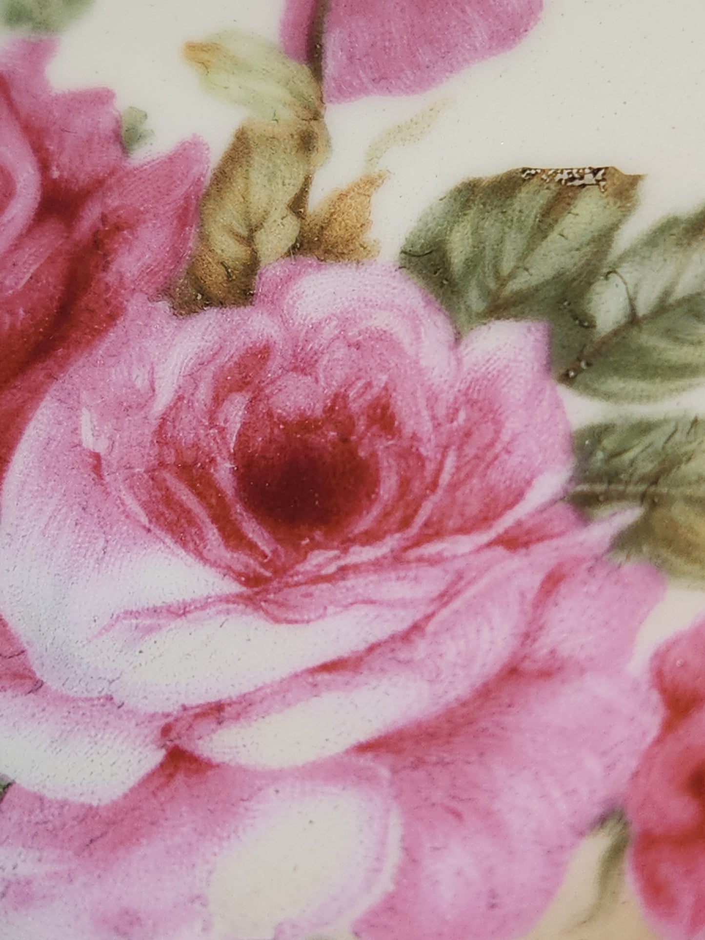 Vintage Marseille Z. C. & Company Bavarian Plate Stamped 7617 Light Burgundy Roses vp9
