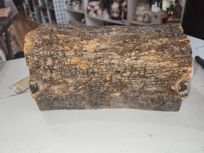 Nativity medium Grotto Carved in Olive Wood Branch Made in Bethlehem 4" x 8" n2c