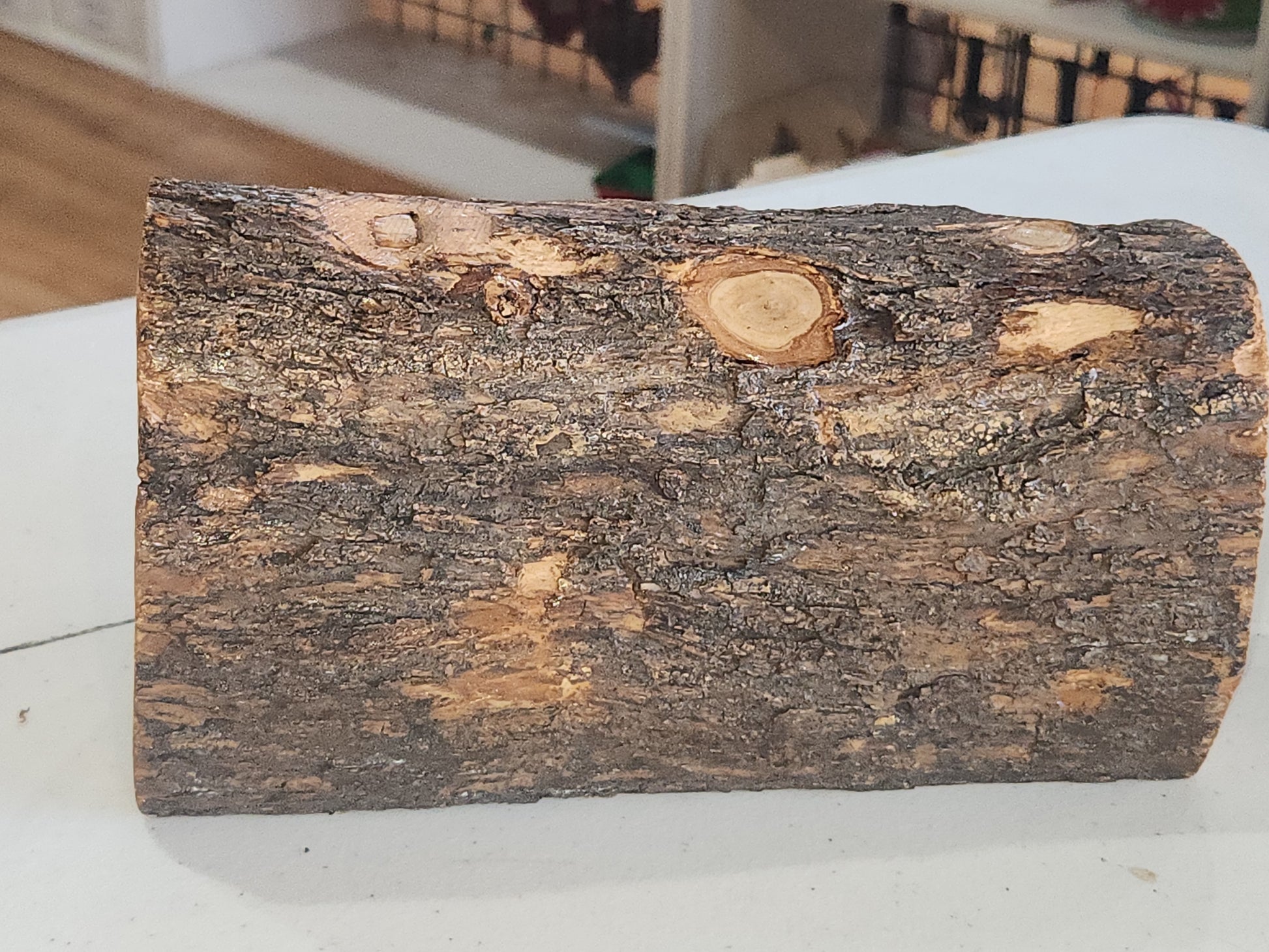 Nativity Medium Grotto Carved in Olive Wood Branch Made in Bethlehem 4" x 8" n2b