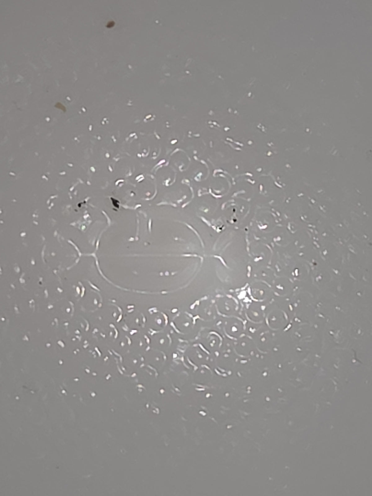 Vintage Imperial Glass White Milk Glass Footed Compote Open Laced Edge Crochet Edge and Diamond Point Pattern mg101
