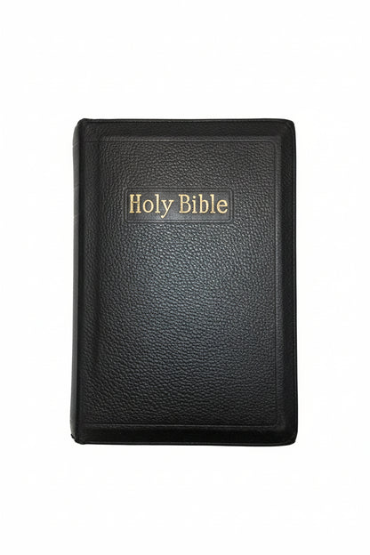 Vintage Softcover The Holy Bible A. J. Holman Company vb81
