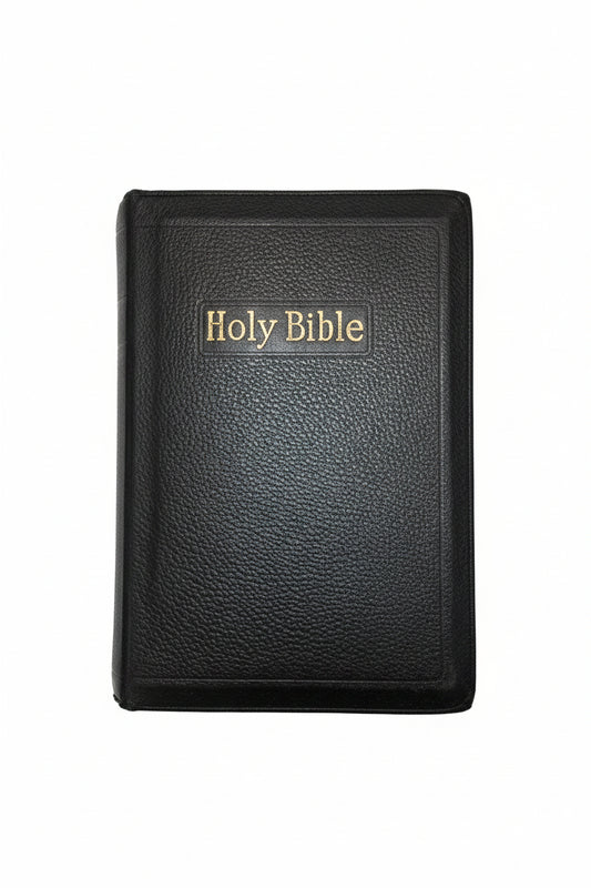 Vintage Softcover The Holy Bible A. J. Holman Company vb81