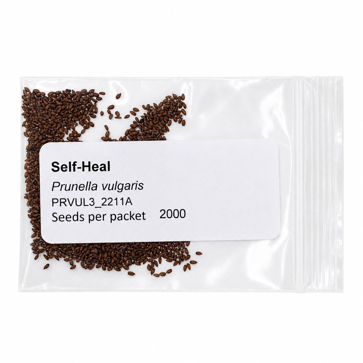 Mini Native Short Deer & Rabbit Resistent Seed Mix | Prairie Legacy Inc.